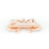 Aurora Bold Hair Accessory