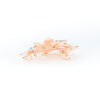Blossom Riot Hair Accessory