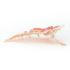 Eva Peach Hair Accessory