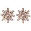 Pink Elixir Exclusive Earrings