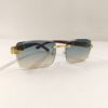Vogue Sunglasses