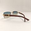 Vogue Sunglasses