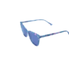 Classic Wayfarer Sunglasses